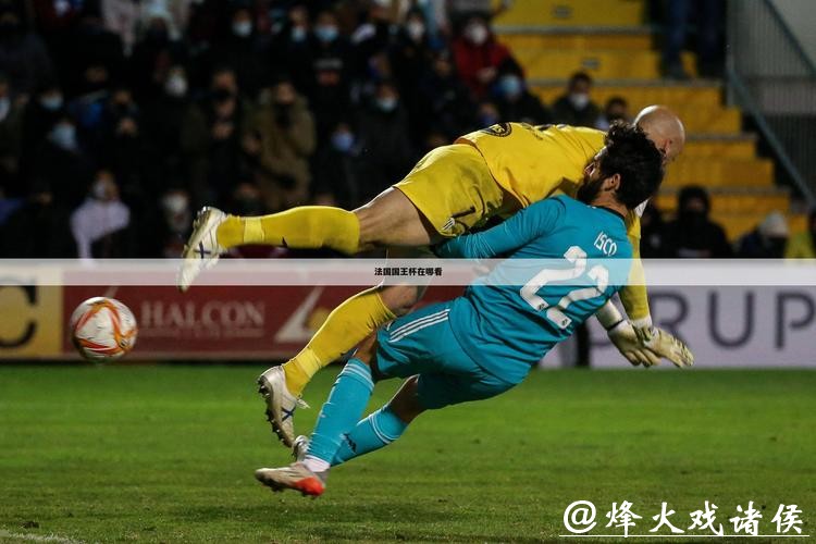 黑白直播世界杯：畅享足坛巅峰精彩赛事